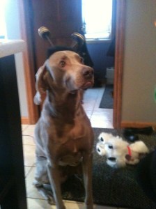 Lydia's phone 1-26-14 022